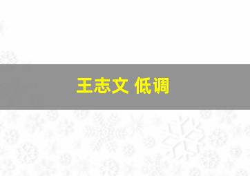 王志文 低调